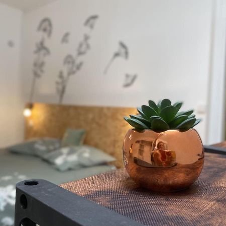 La Maison D'Angelique - Colocation Hoteliere A 150M Gare Tgv- Grande Cuisine Equipee & Salon - Fibre - Netflix Ніор Екстер'єр фото
